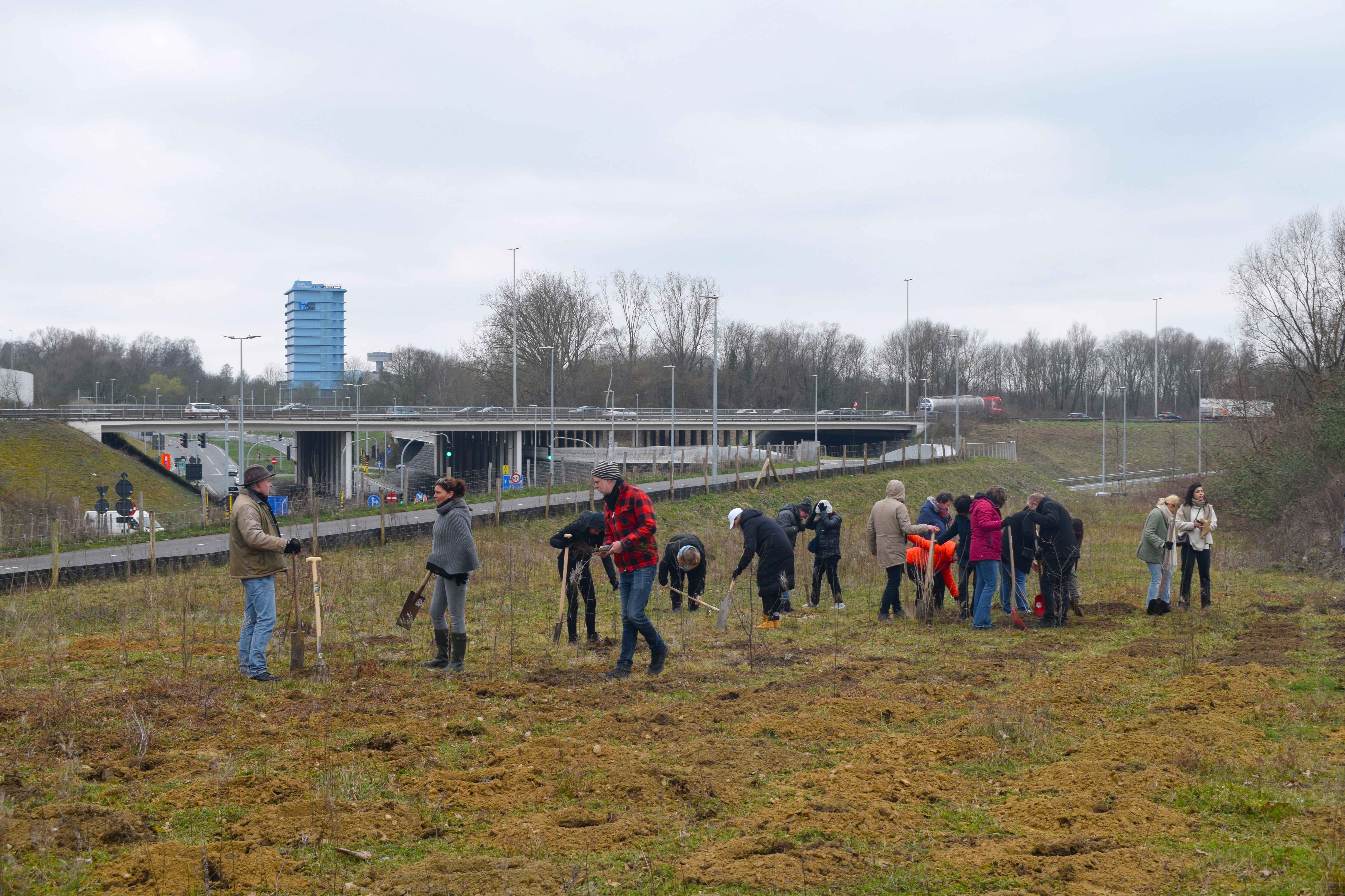 FCM aanplantactie