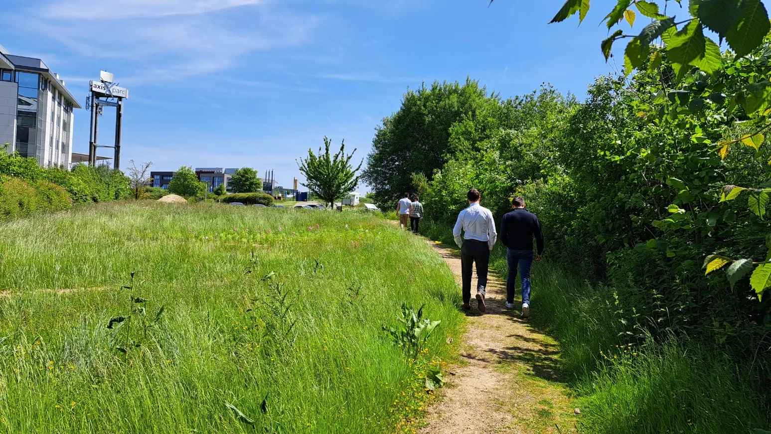Kantoorbos in Miyawaki-stijl: zo benut je ongebruikte buitenruimte
