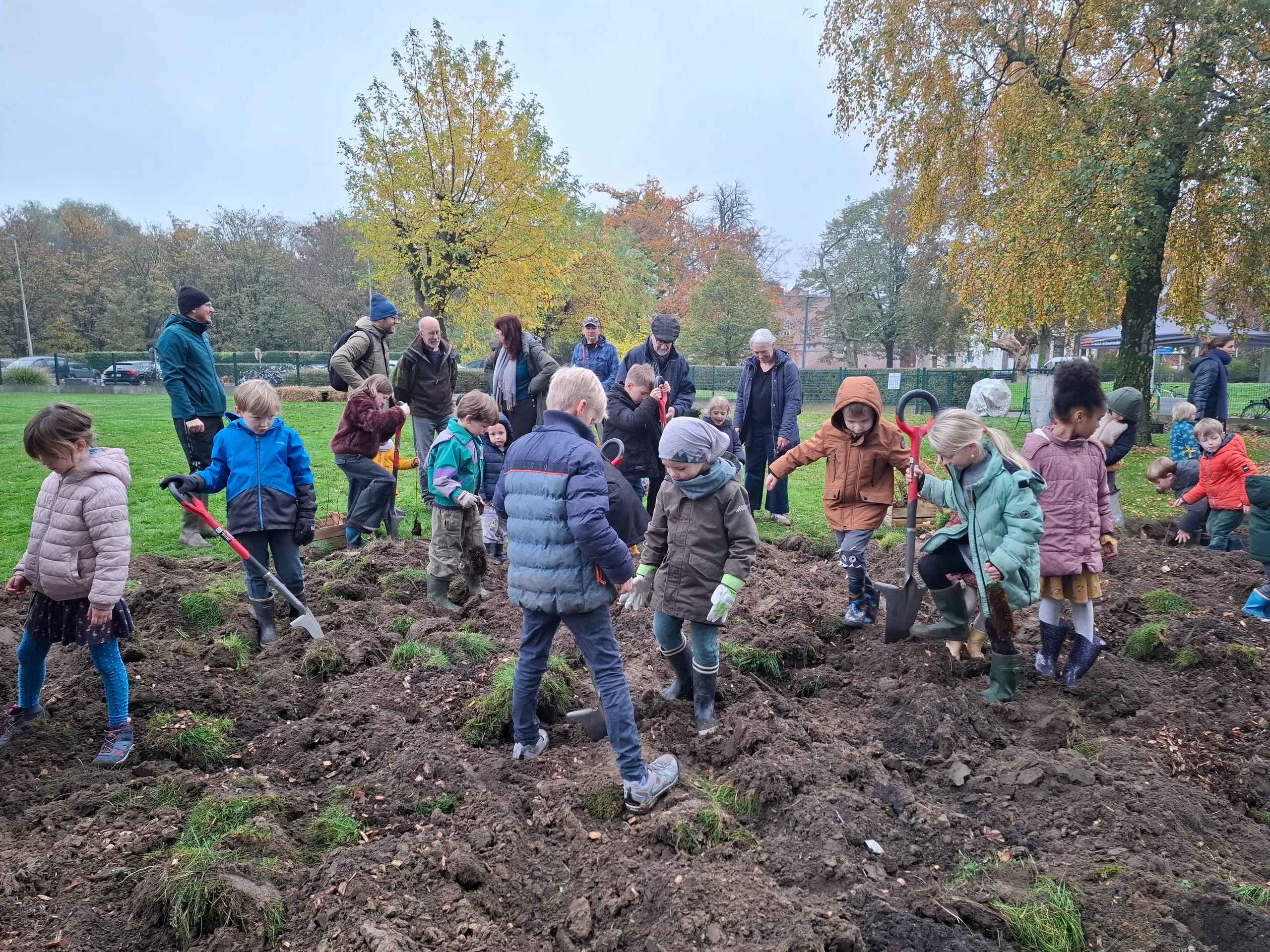 Schoolbos aanleggen: zo sluit het aan bij Vlaamse onderwijsdoelen