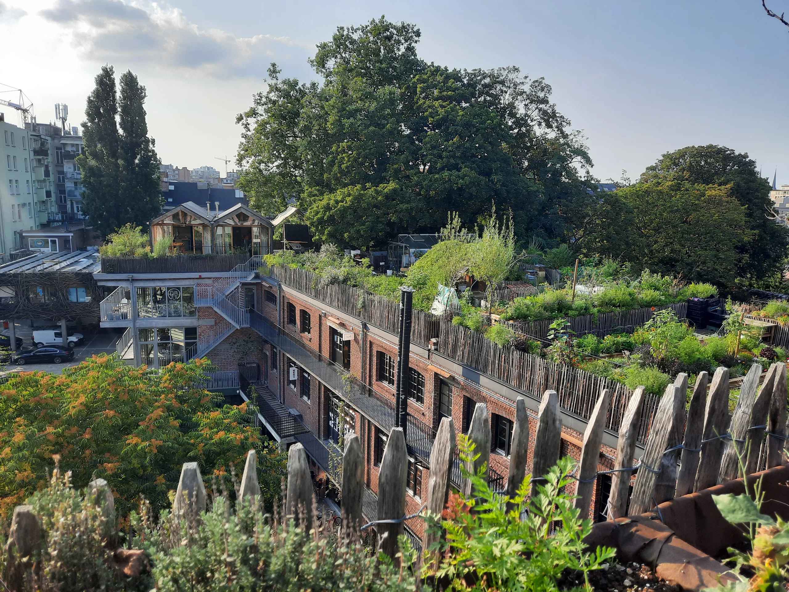 Dakboerderij: biodiversiteit op stedelijke daken