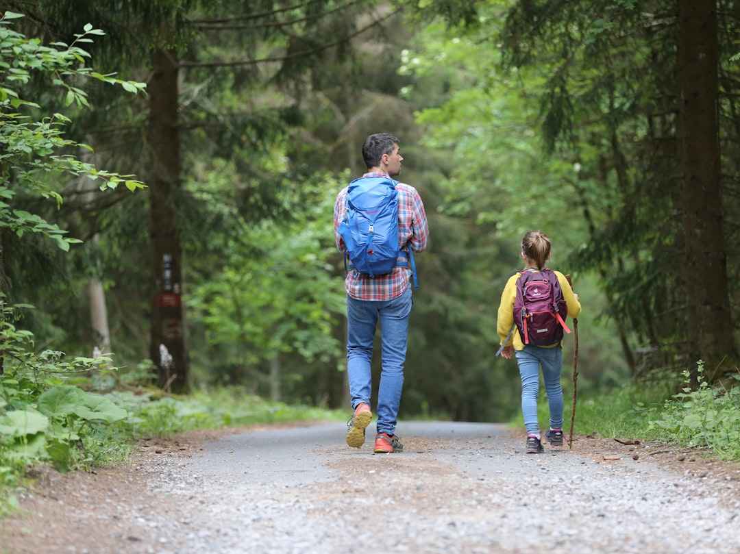 Duurzame familiedag in nationaal park: praktische tips