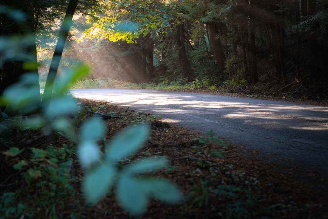 Groene HR-initiatieven: zo verankert je bedrijf duurzaamheid bij je mensen