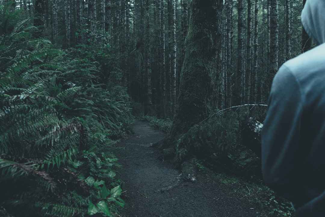 Duurzame teambuilding: wat het écht betekent en waarom het werkt