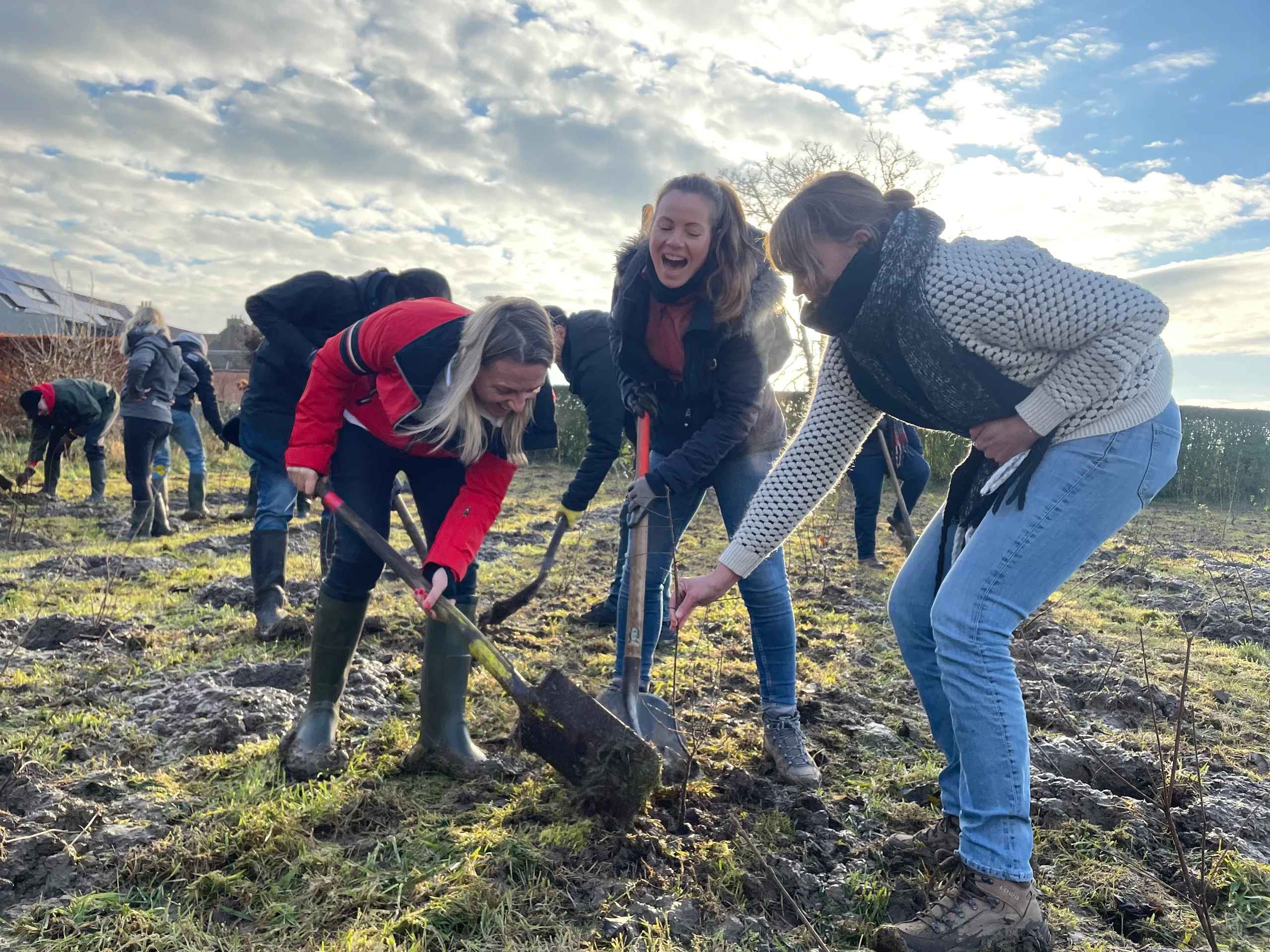 Hoe een bedrijfsbos de biodiversiteit op jouw terrein meetbaar verhoogt