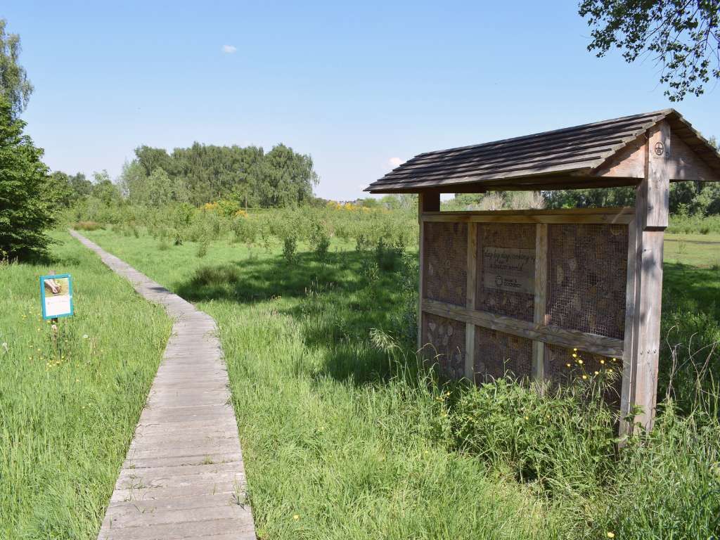 Trap niet in de val van local greenwashing en kies voor een écht bedrijfsbos (mét impact)