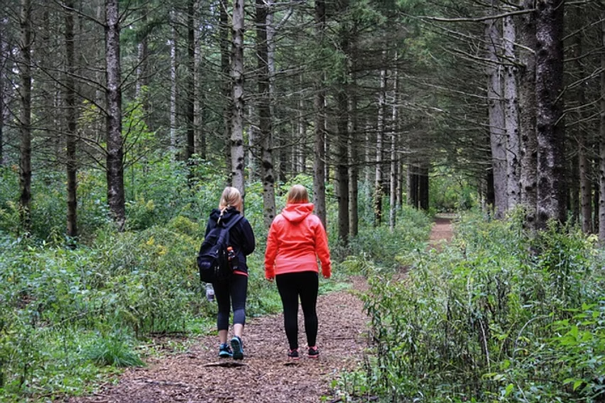Wandeling in het bos